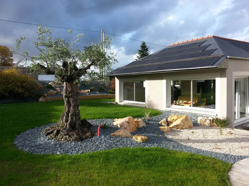 Maison contemporaine avec panneaux photovoltaïques sur toiture, jardin paysager avec olivier centenaire sur lit de galets décoratifs, pierres naturelles et graminées ornementales